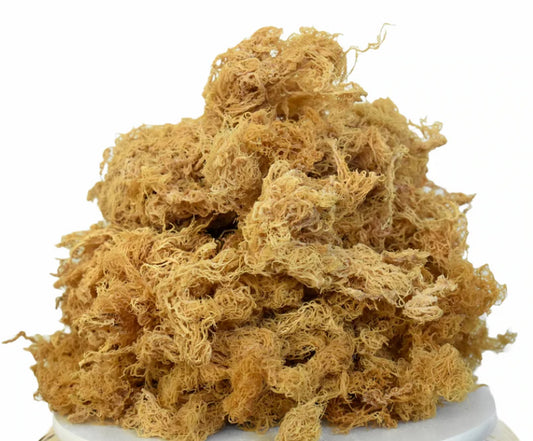 St Lucia Wildcrafted Gold Raw Sea Moss